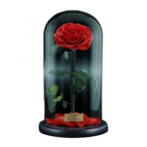 Grande Infinity Luxury Vibrant Red Rose Dome