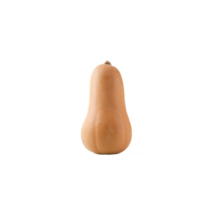 Butternut Squash