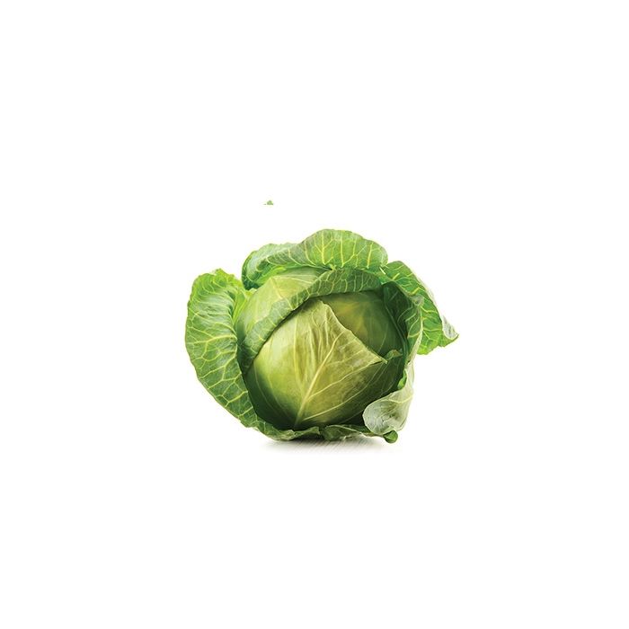 Green Cabbage