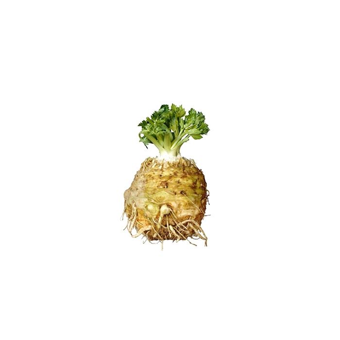 Celeriac