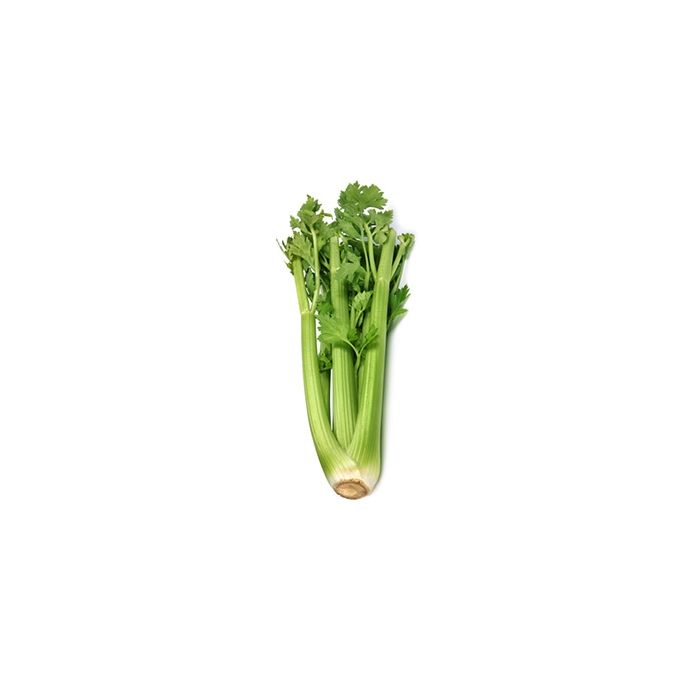 Celery