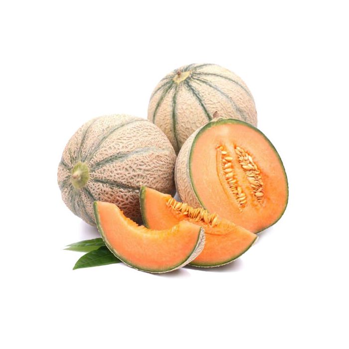 Charentais Gerin Melon