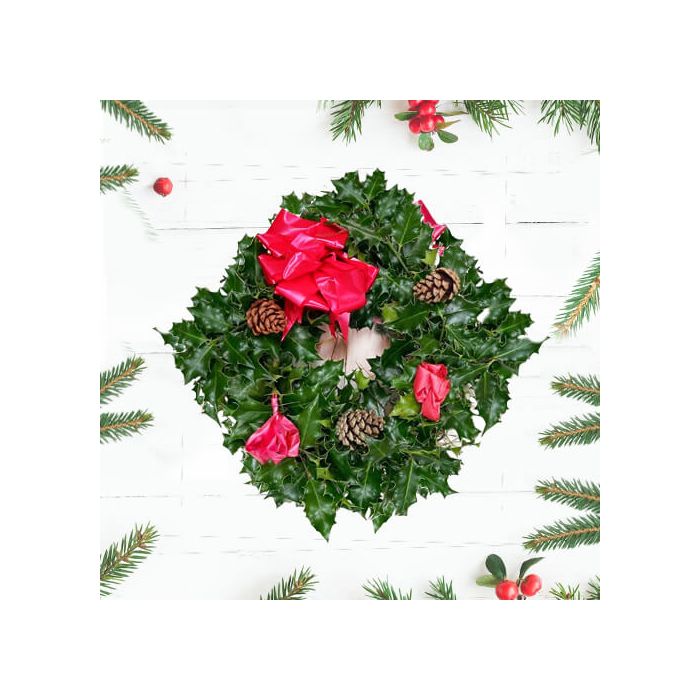 Christmas Holly Wreath