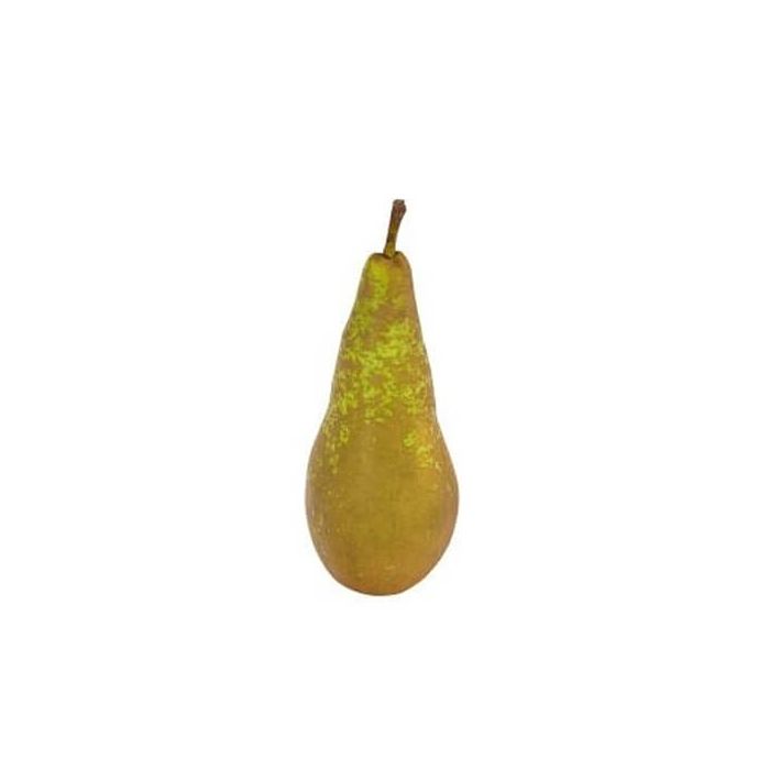 Conference Pears