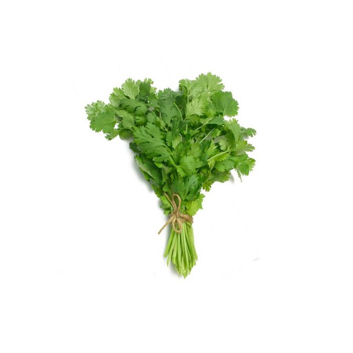 Coriander
