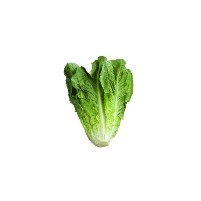 Cos Lettuce