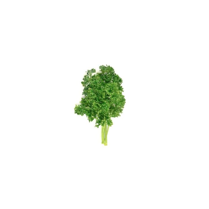 Curly Parsley