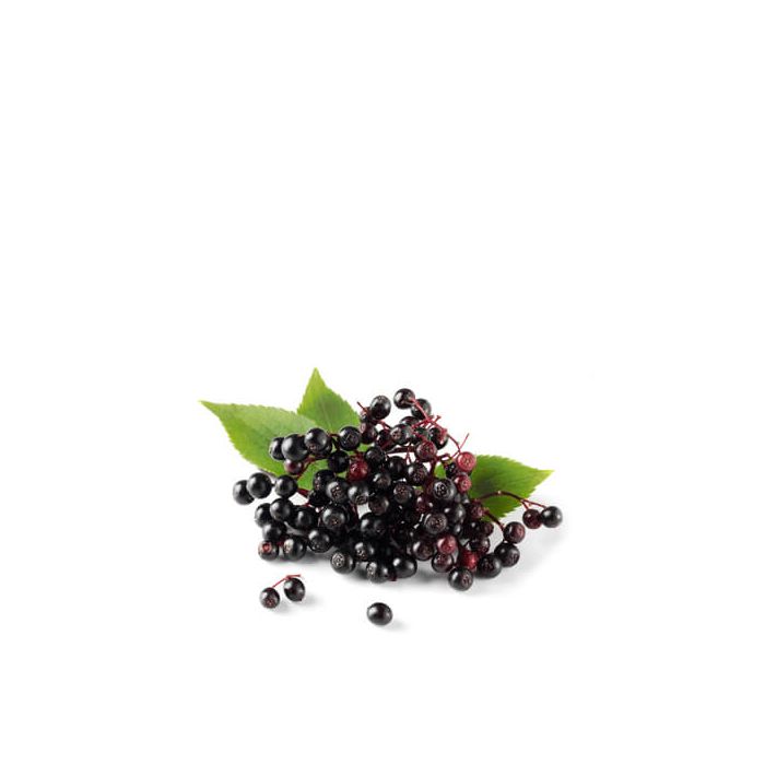 Elderberries