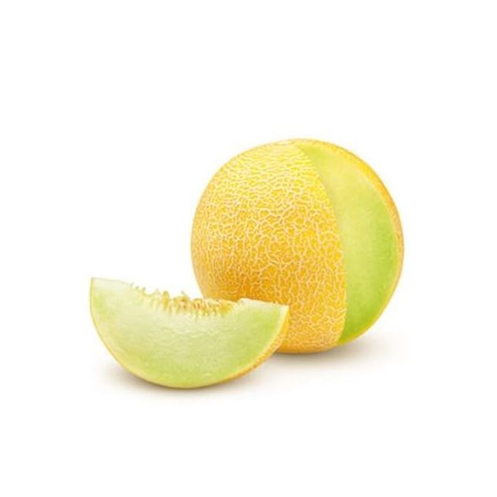 Galia Melon