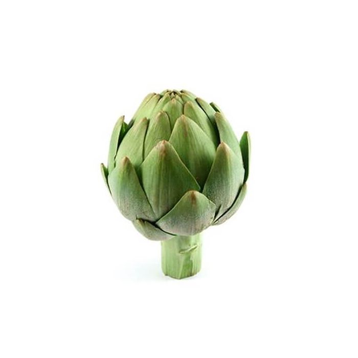 Globe Artichokes