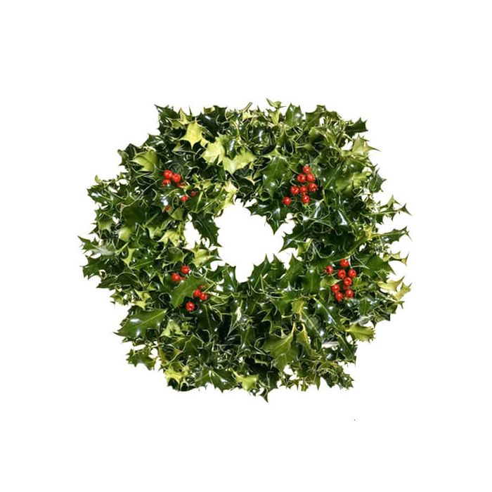 Christmas Holly Wreath