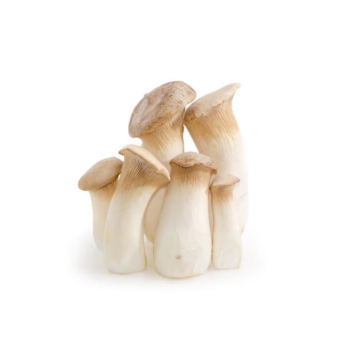 King Oyster Mushrooms