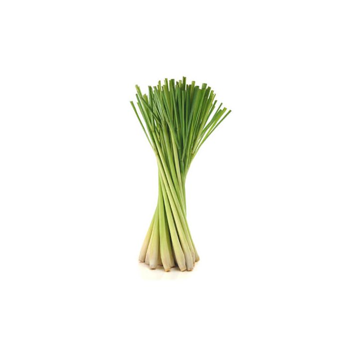 Lemon Grass