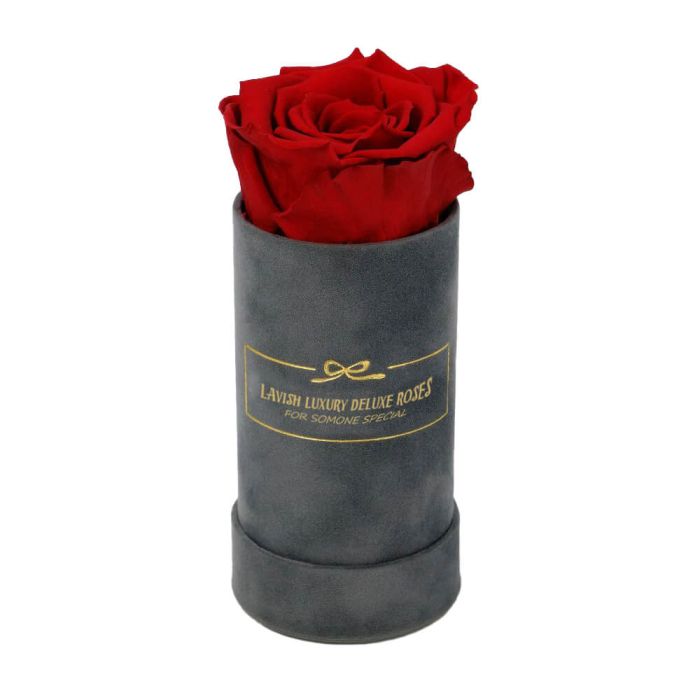 Deluxe Vibrant Red Rose with Luxury Grey Suede Box