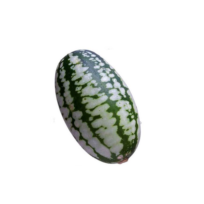 Micro Melons (Cucamelons)