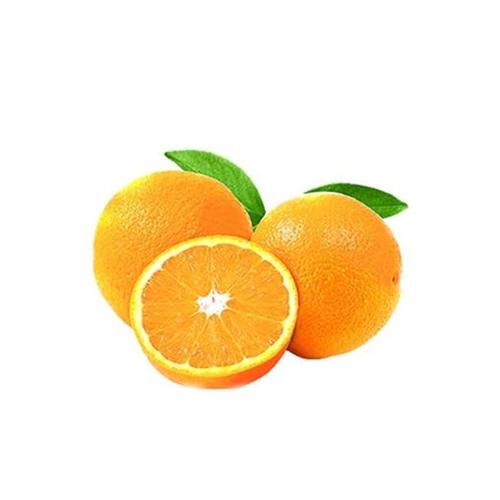 Navel Oranges