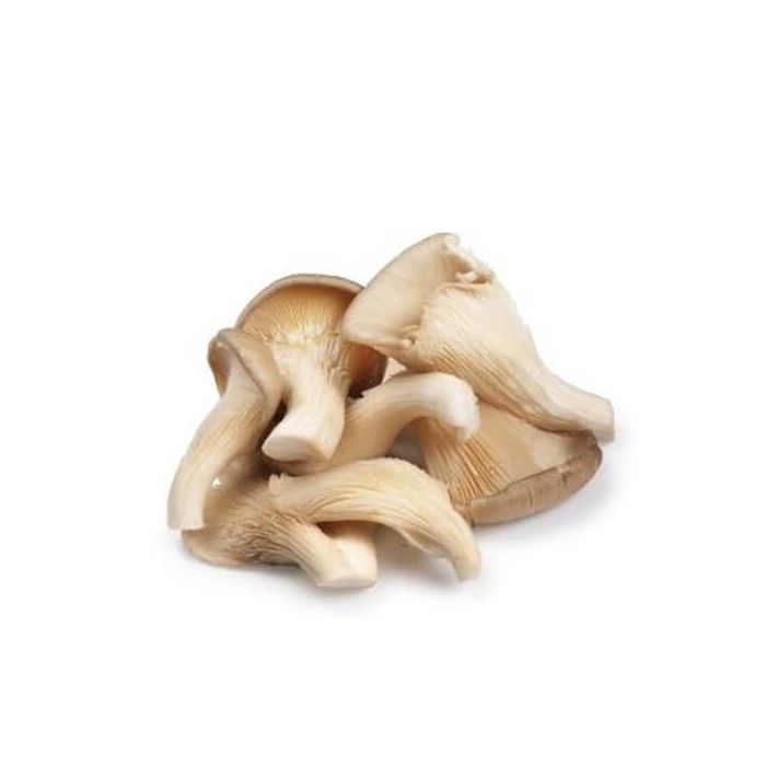 Oyster Mushrooms