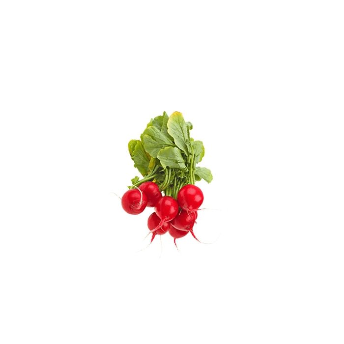 Radish