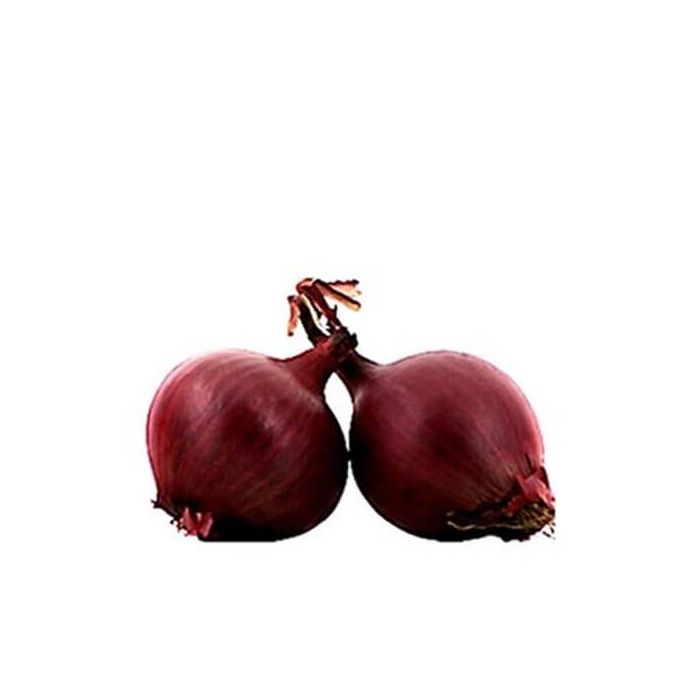 Red Onions (Each)