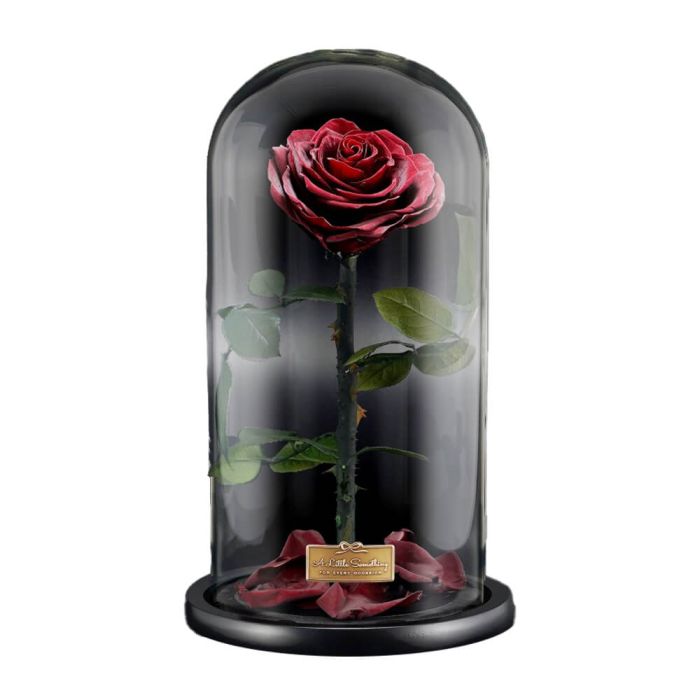 Grande Infinity Luxury Wine Red Rose Dome