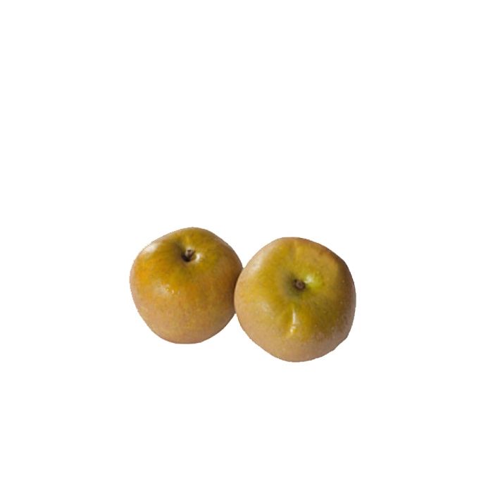 Russett Apples