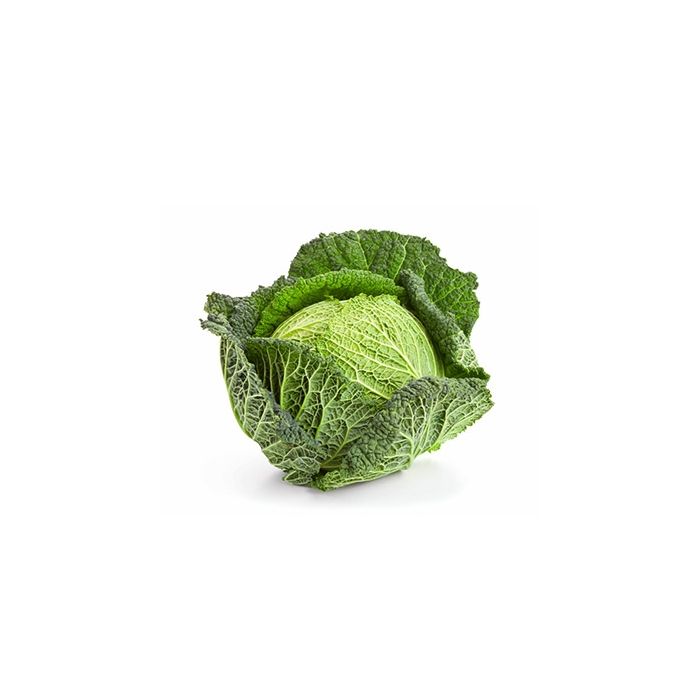 Savoy Cabbage