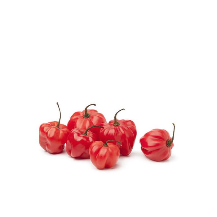 Scotch Bonnet Chillies