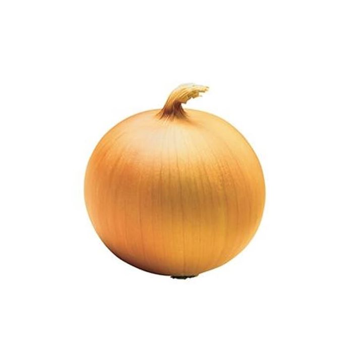 Spanish Onions