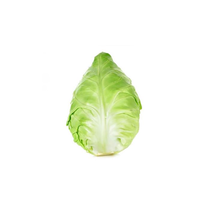 Sweetheart Cabbage