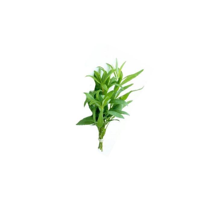 Tarragon