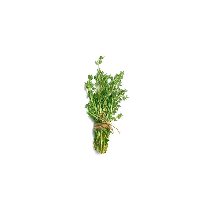 Thyme