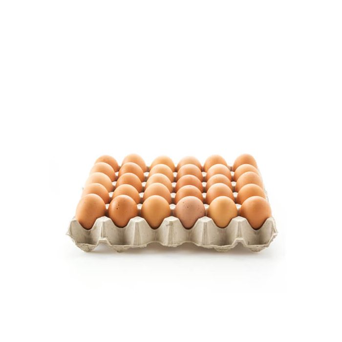 Tray of Eggs