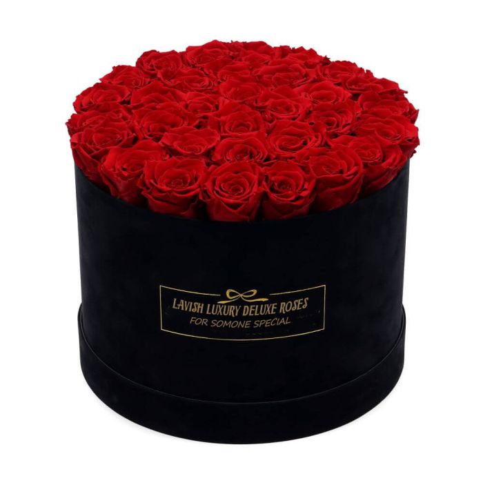 Luxury Vibrant Red Roses with Black Suede Box