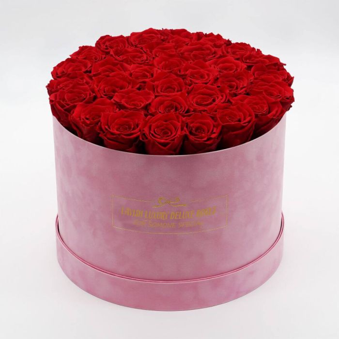 Luxury Vibrant Red Roses with Baby Pink Suede Box