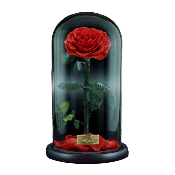 Grande Infinity Luxury Vibrant Red Rose Dome