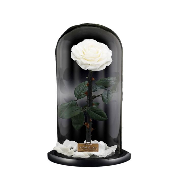 Grande Infinity Luxury White Rose Dome