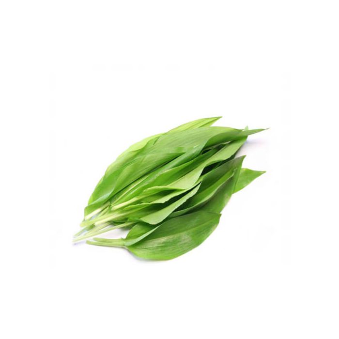 Wild Garlic