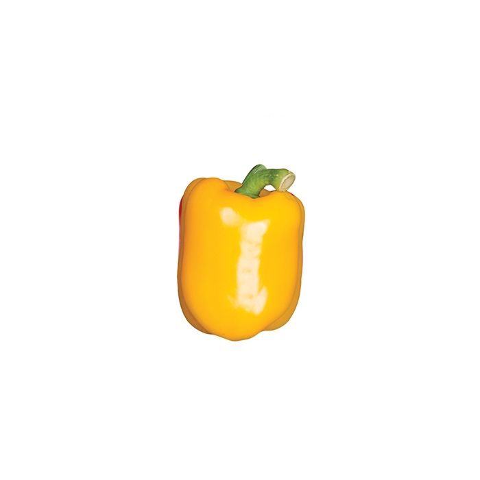 Yellow Pepper