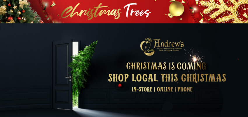 Shop Yorkshire Christmas Trees