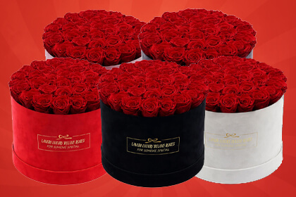 Luxury Roses with Swede Boxes